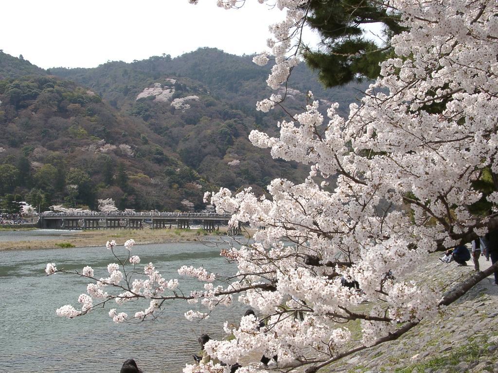 Guesthouse Kyoto Kaikonoyashiro מראה חיצוני תמונה